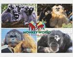 1000PC JIGSAW PUZZLE